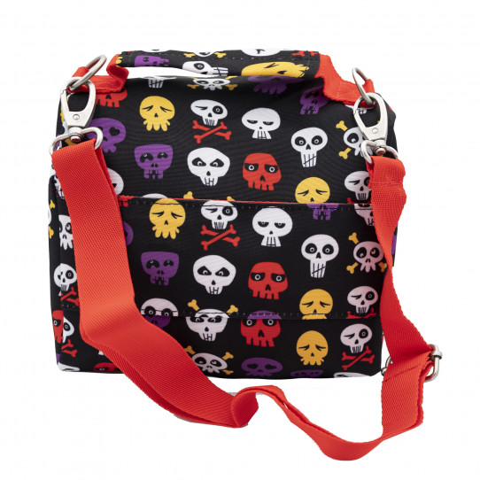 lunch bag skulls and bones