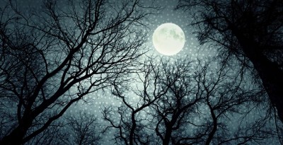 Ideas para pasar un Halloween de miedo con los peques